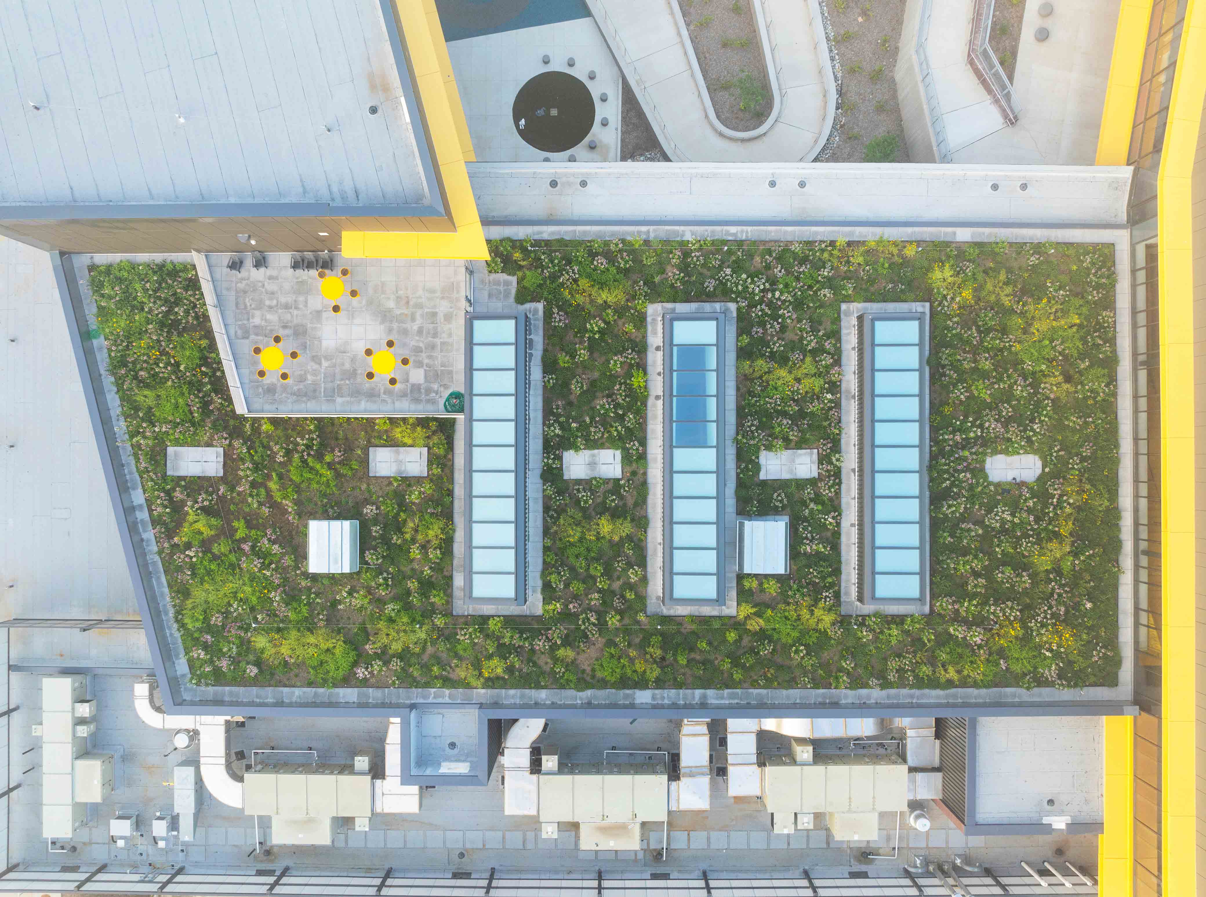 Vegetated roof systems at Murray Massenburg Elementary support cooling, stormwater management, biodiversity, and environmental learning for students and staff in Durham, North Carolina.