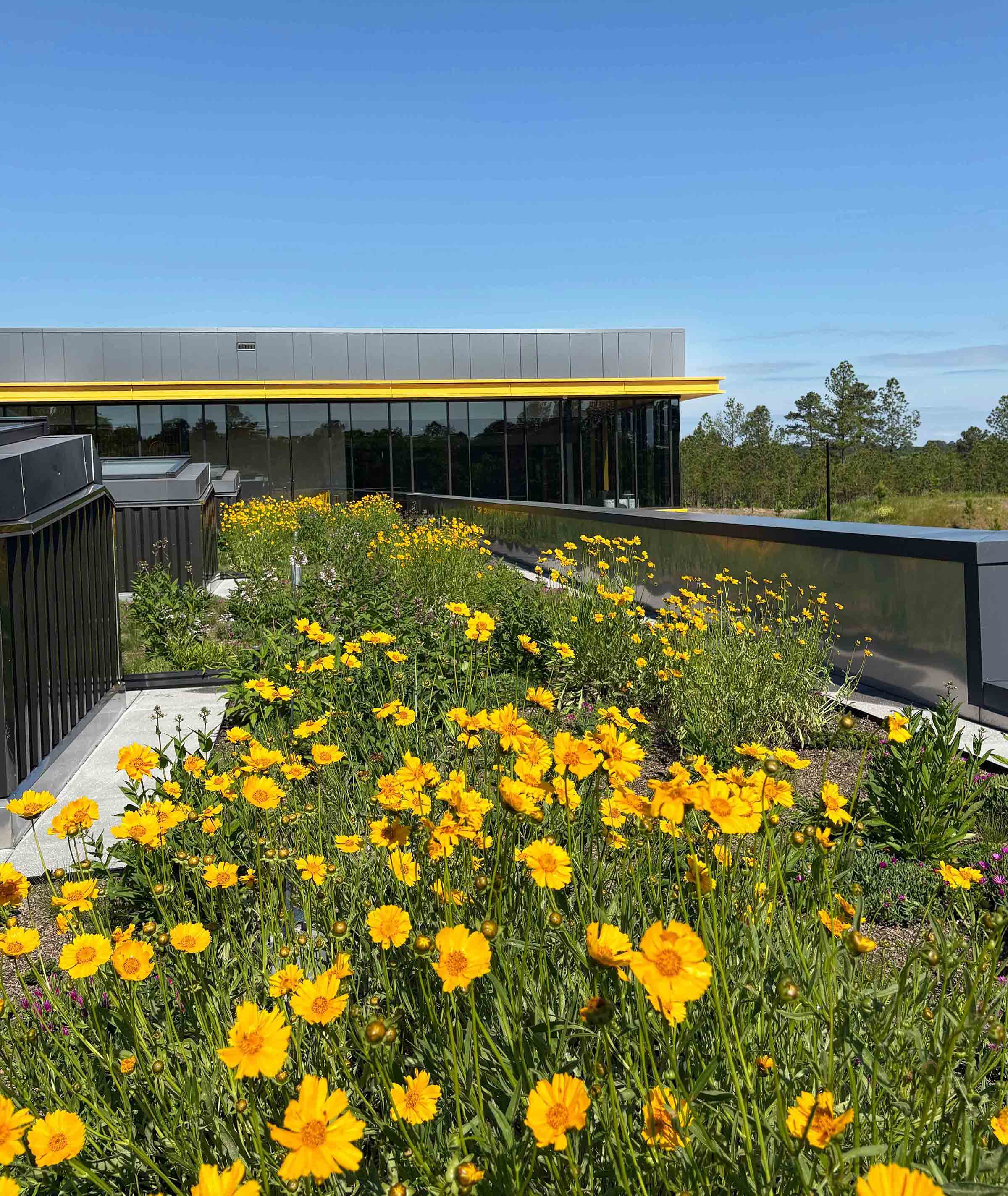 More than a submittal. An opportunity.