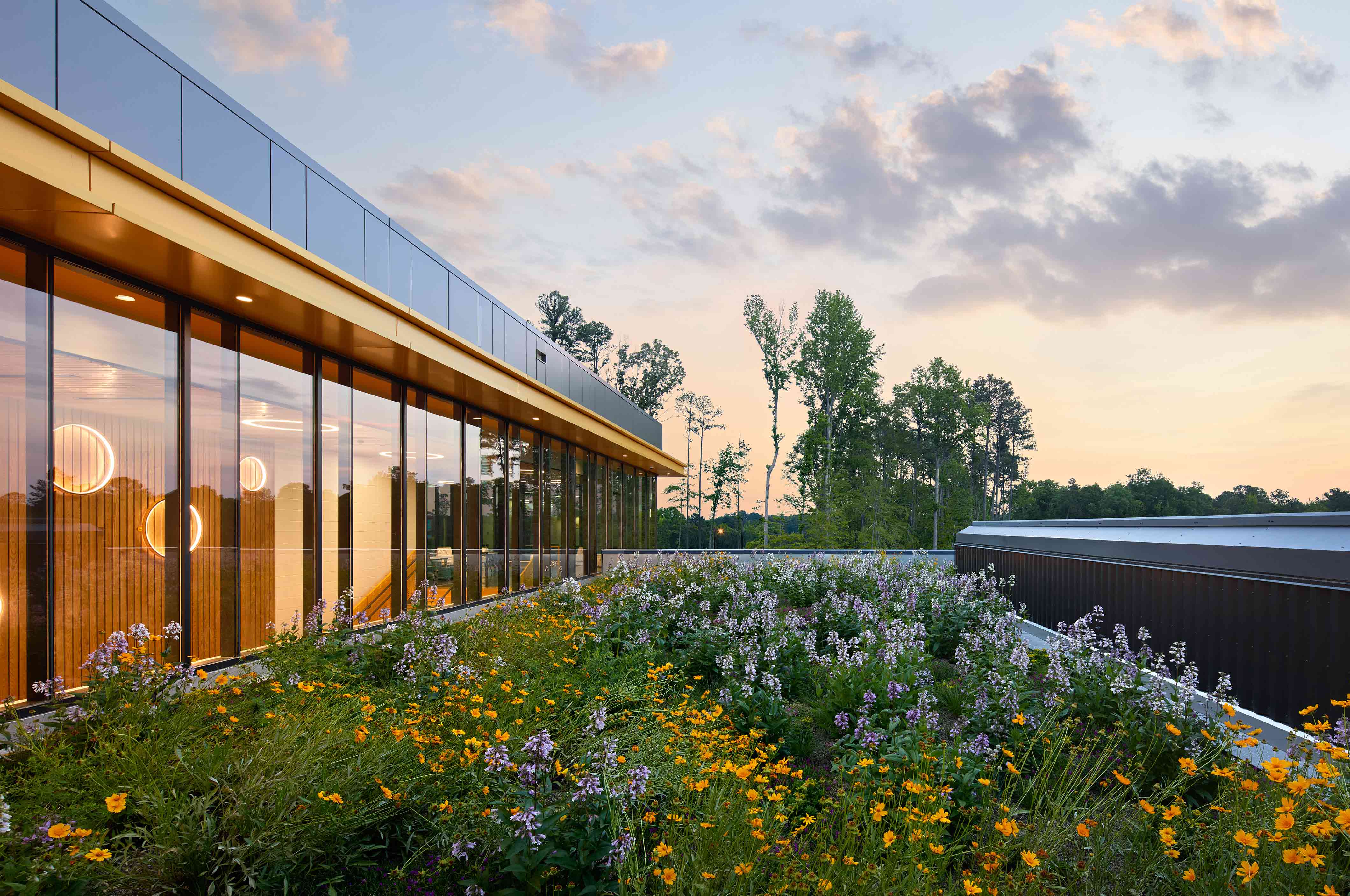 Green Roof Project - Living Roofs, Inc. - Murray Massenburg Elementary - Durham, NC
