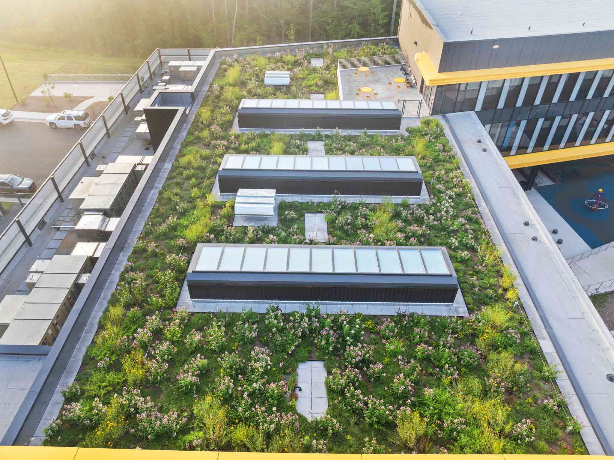 Green Roof Project - Living Roofs, Inc. - Murray Massenburg Elementary - Durham, NC