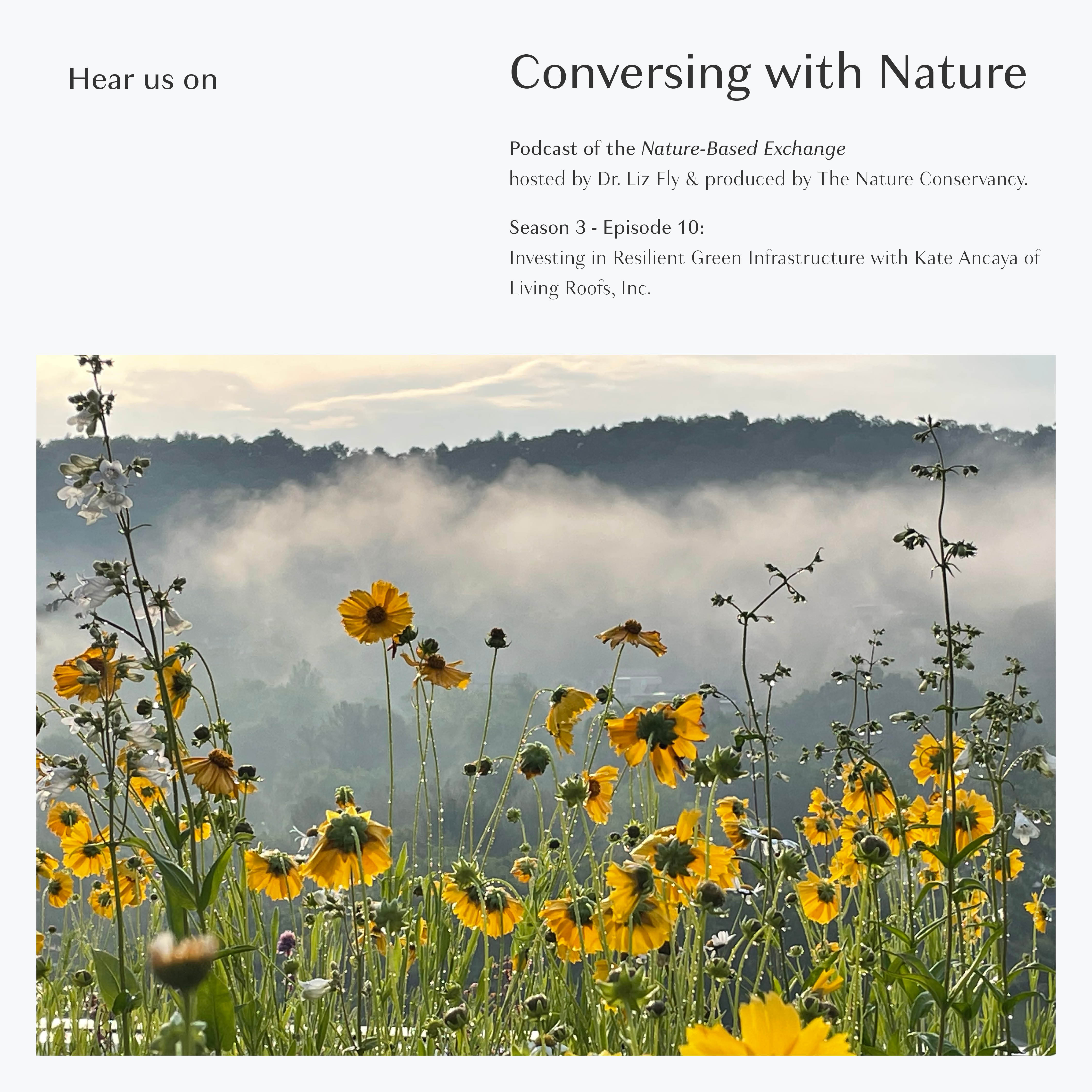 In this episode LRI Founding Partner, Kate Blatt Ancaya, dives into the world of on‑structure landscapes and the role they play in creating a more resilient future.