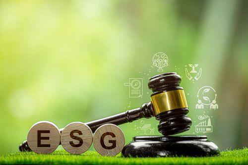 The Right Thing to Do: ESG in a Complex World