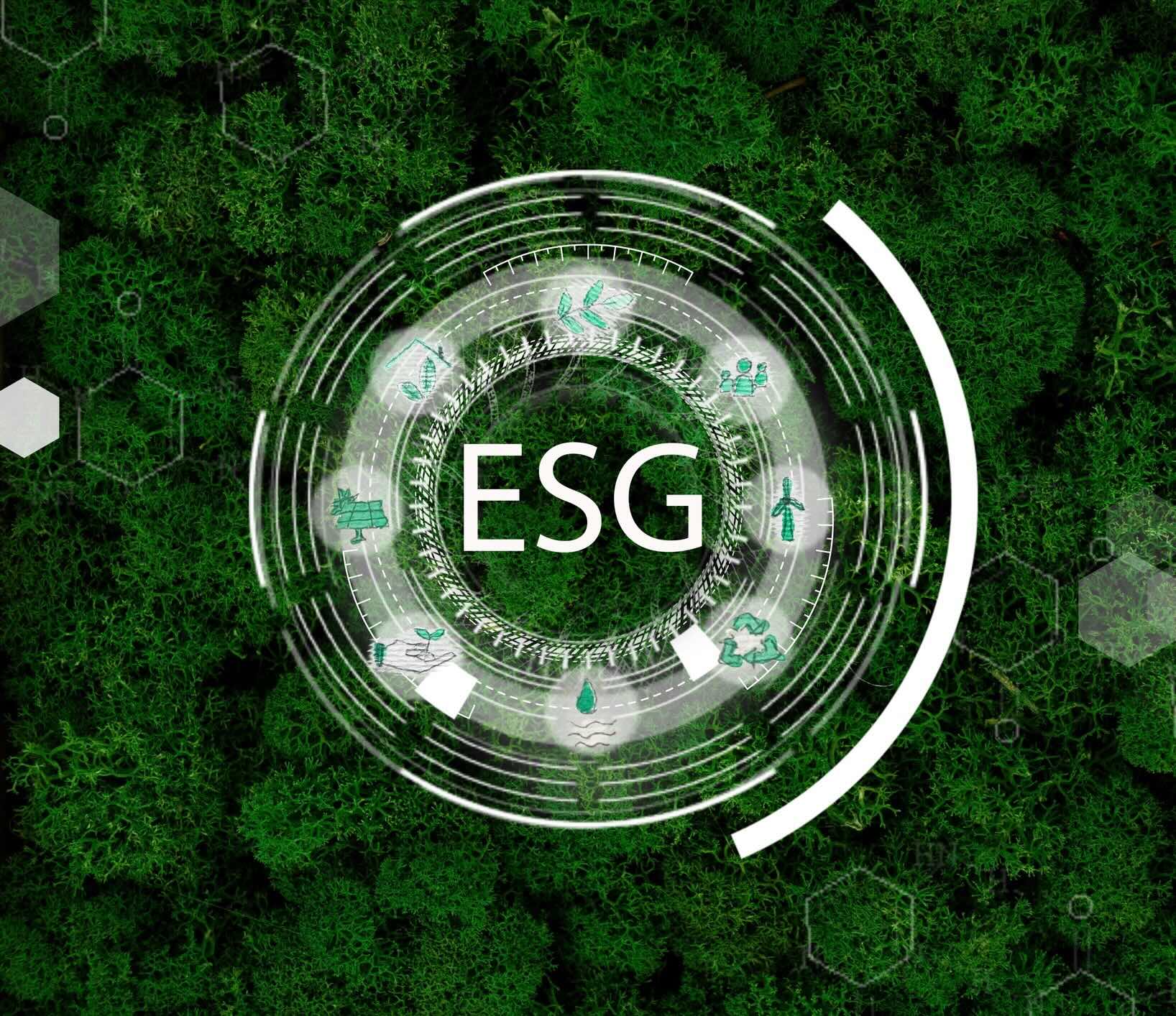 EU Anti-Greenwashing Rules Take Effect, Tightening Standards for Environmental Claims