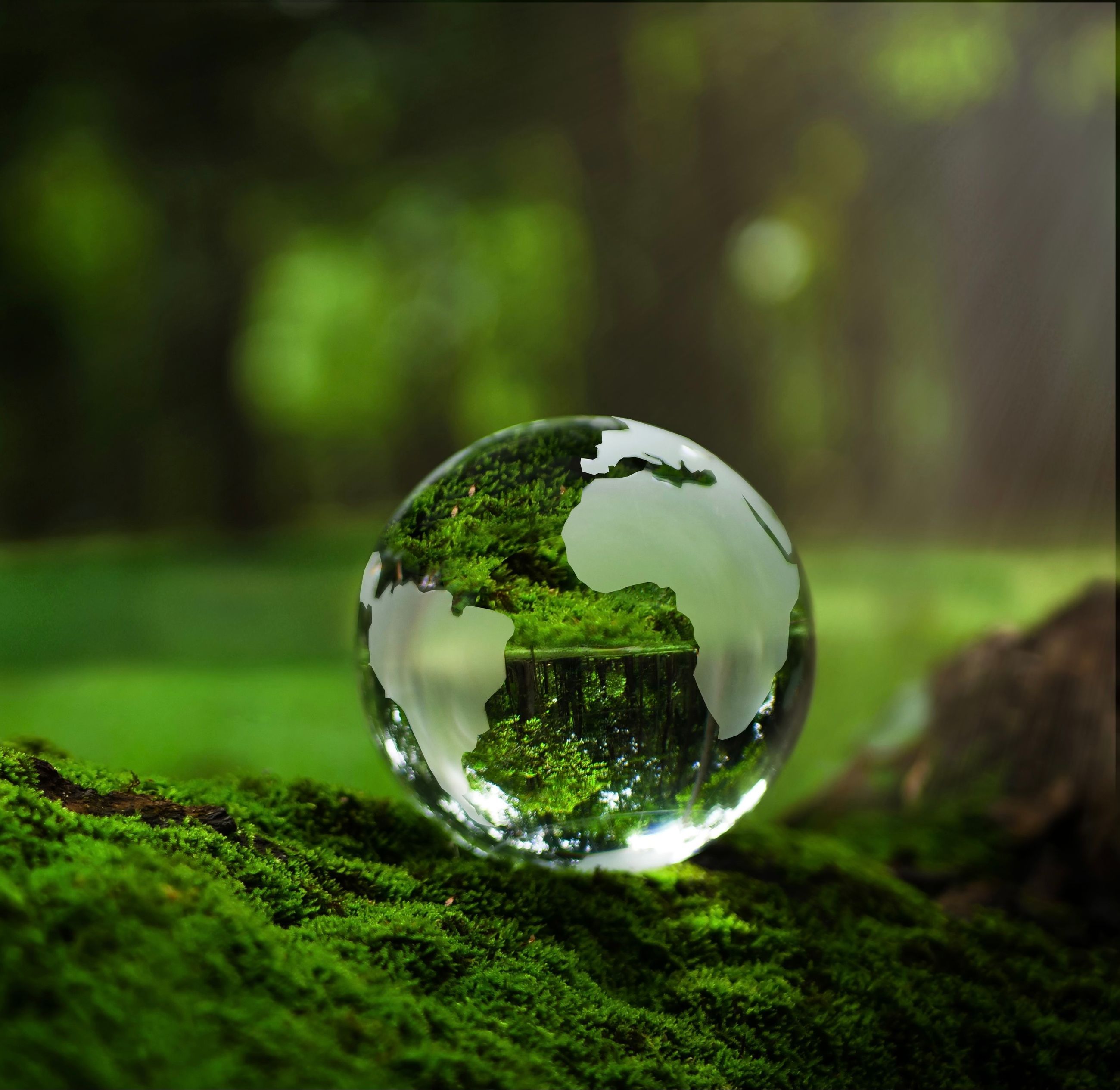 Climate Risk Gets Personal for Japan’s Biggest Banks