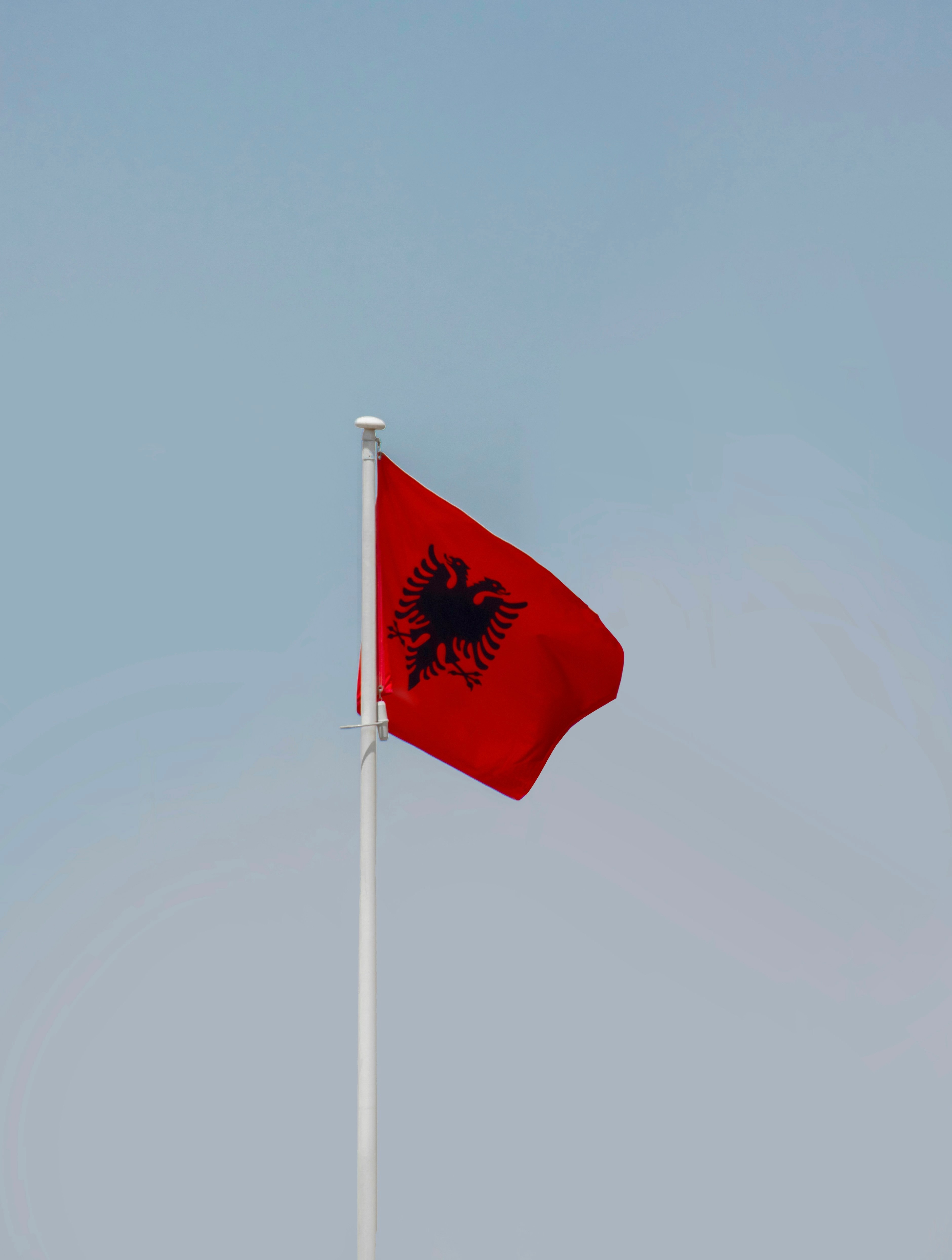 AI Agent vs. Brown Envelope: The Balkan Supply Chain Cage Match