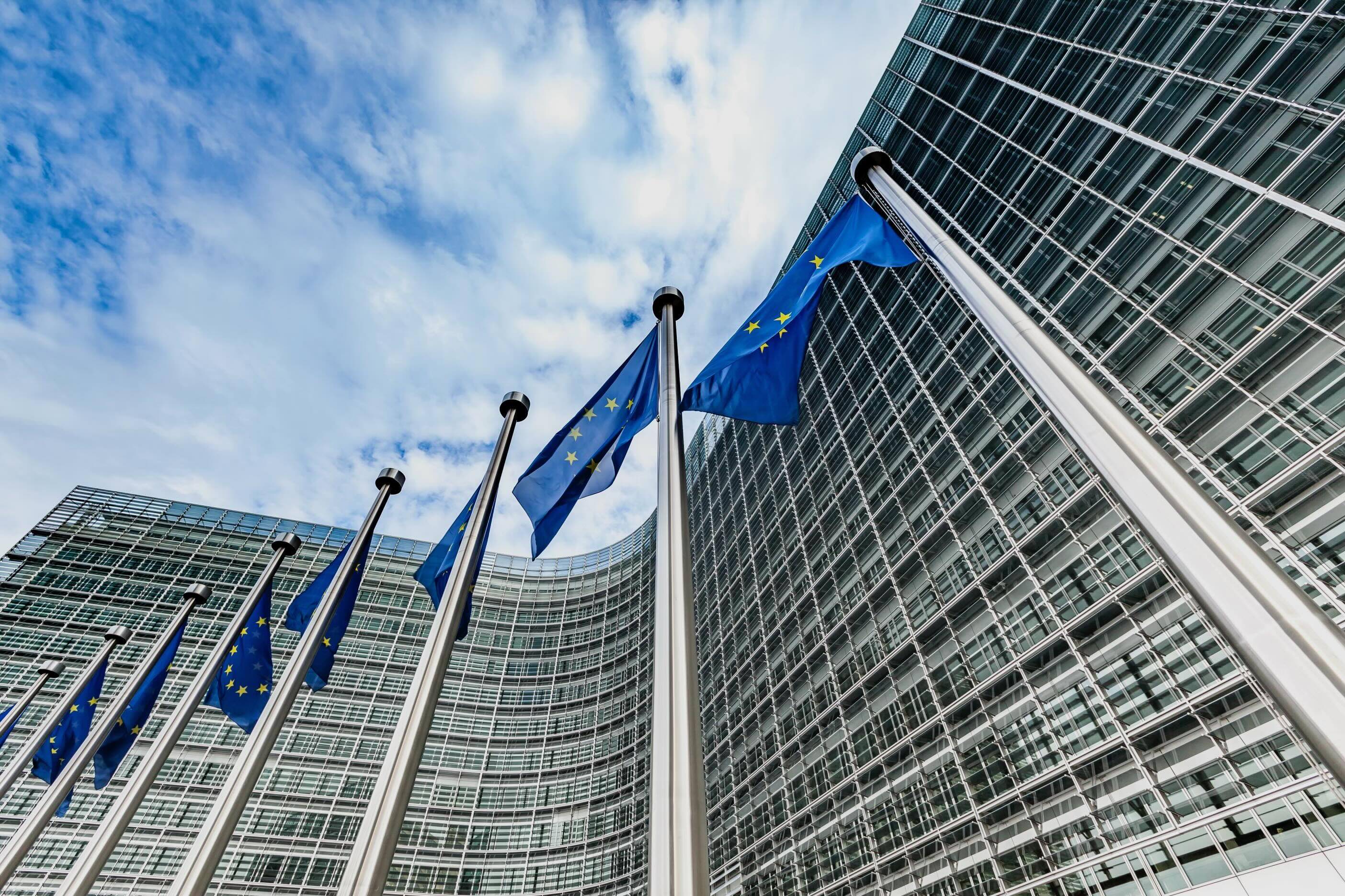 Council Moves Forward on Revising EU Deforestation Law as Industry Coalition Calls for Staying on Schedule