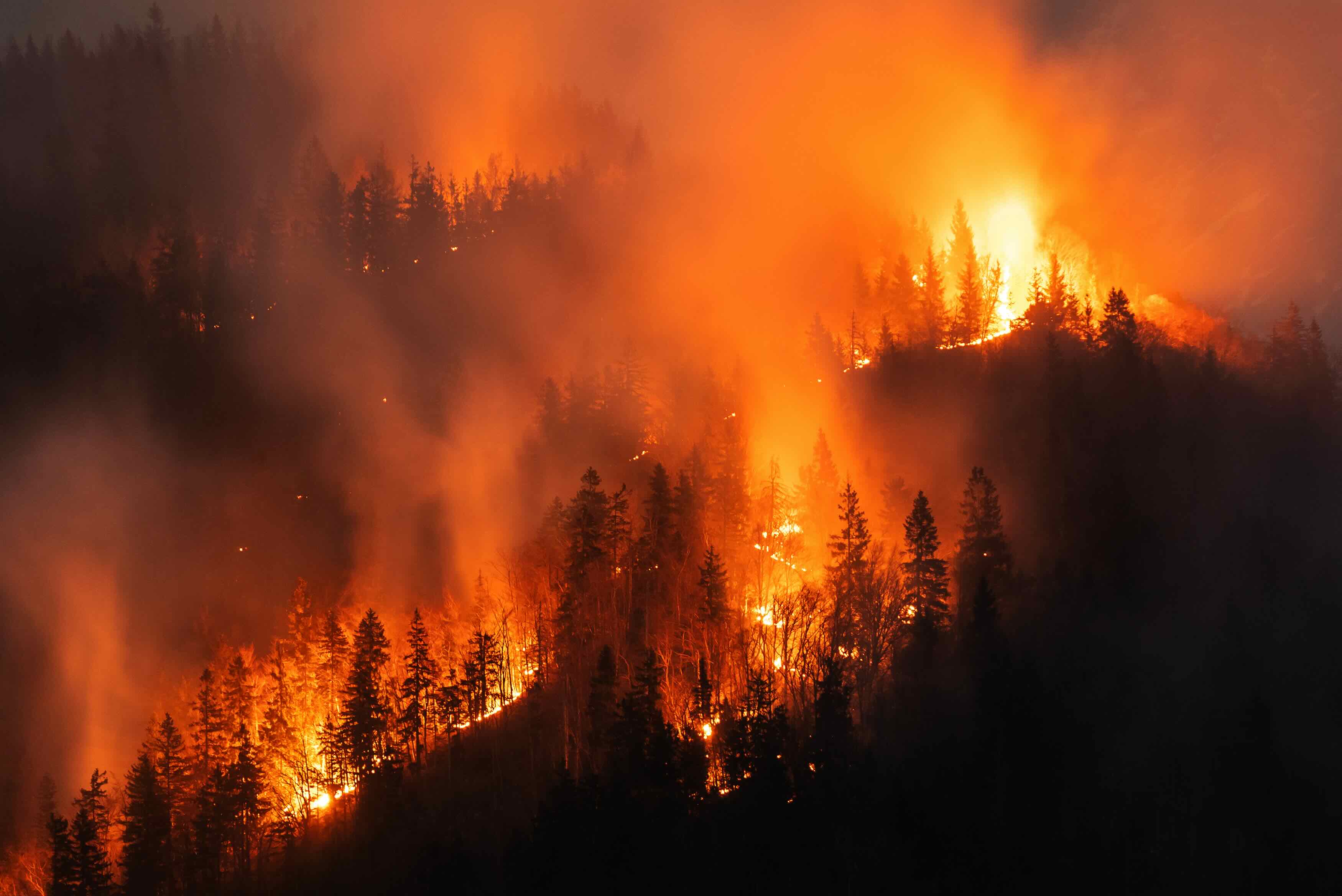 The Wildfire Doesn't Have to Reach You to Disrupt Your Business