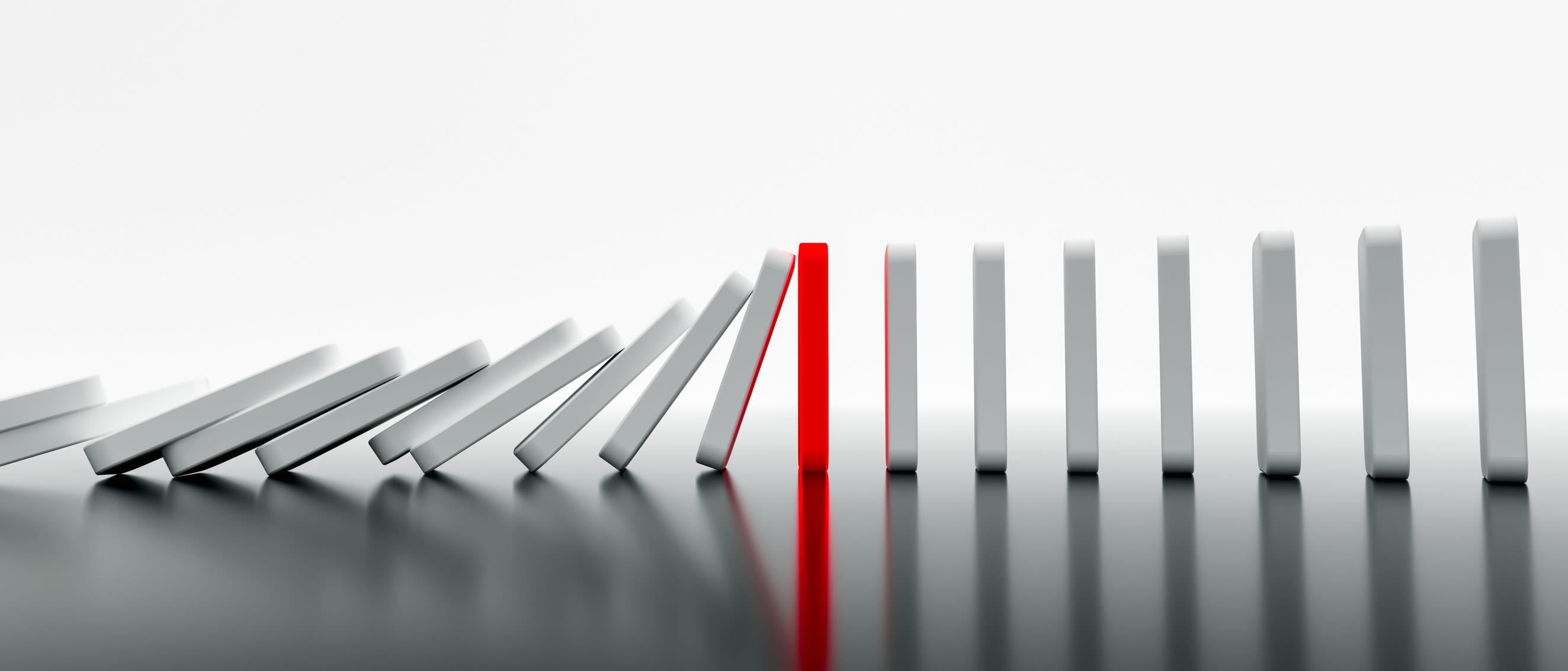 Dancing With the Gray Rhino: Why Obvious Risks Still Destroy Organizations