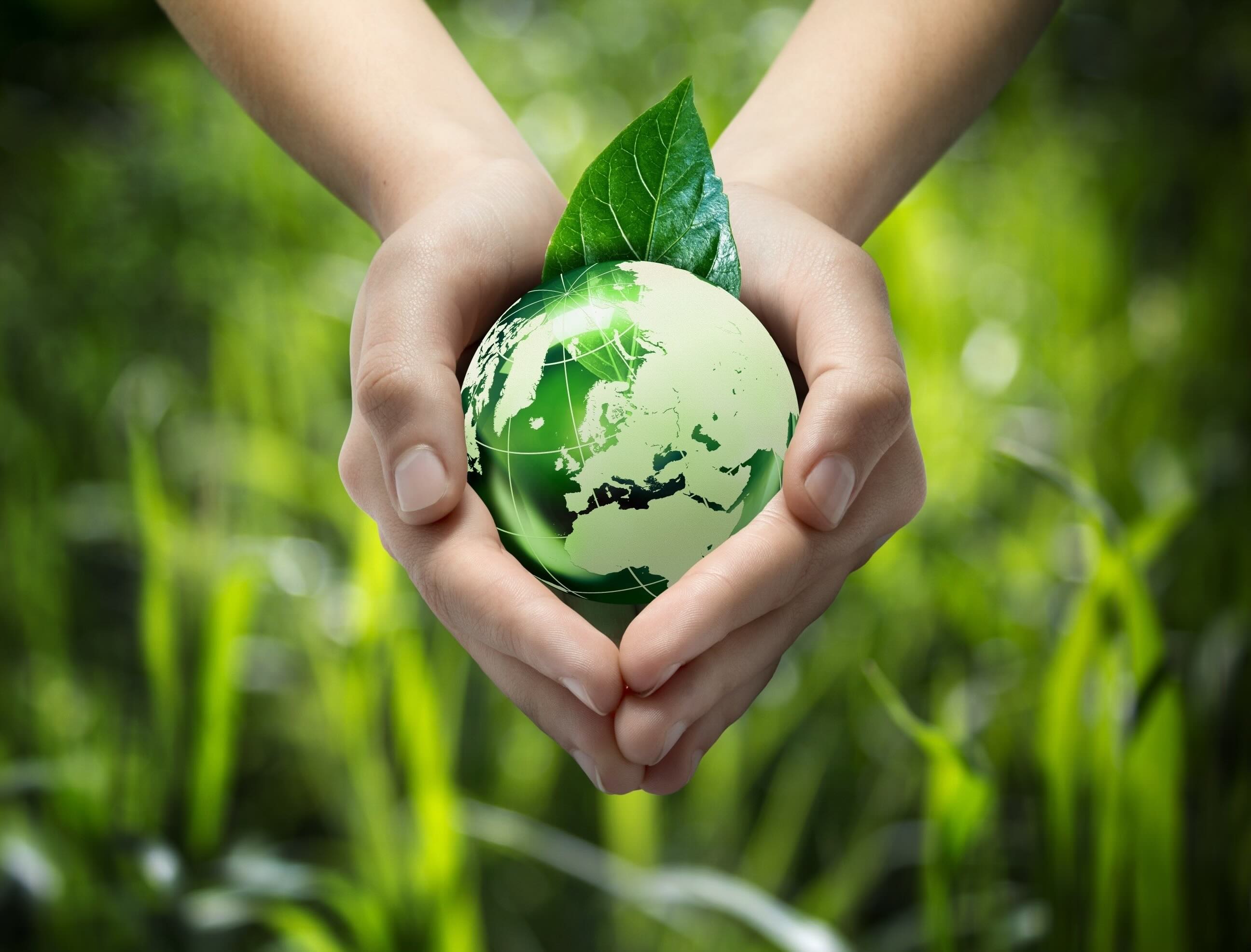 FMA Extends Climate Reporting Relief as Reform Waits on New Zealand Election