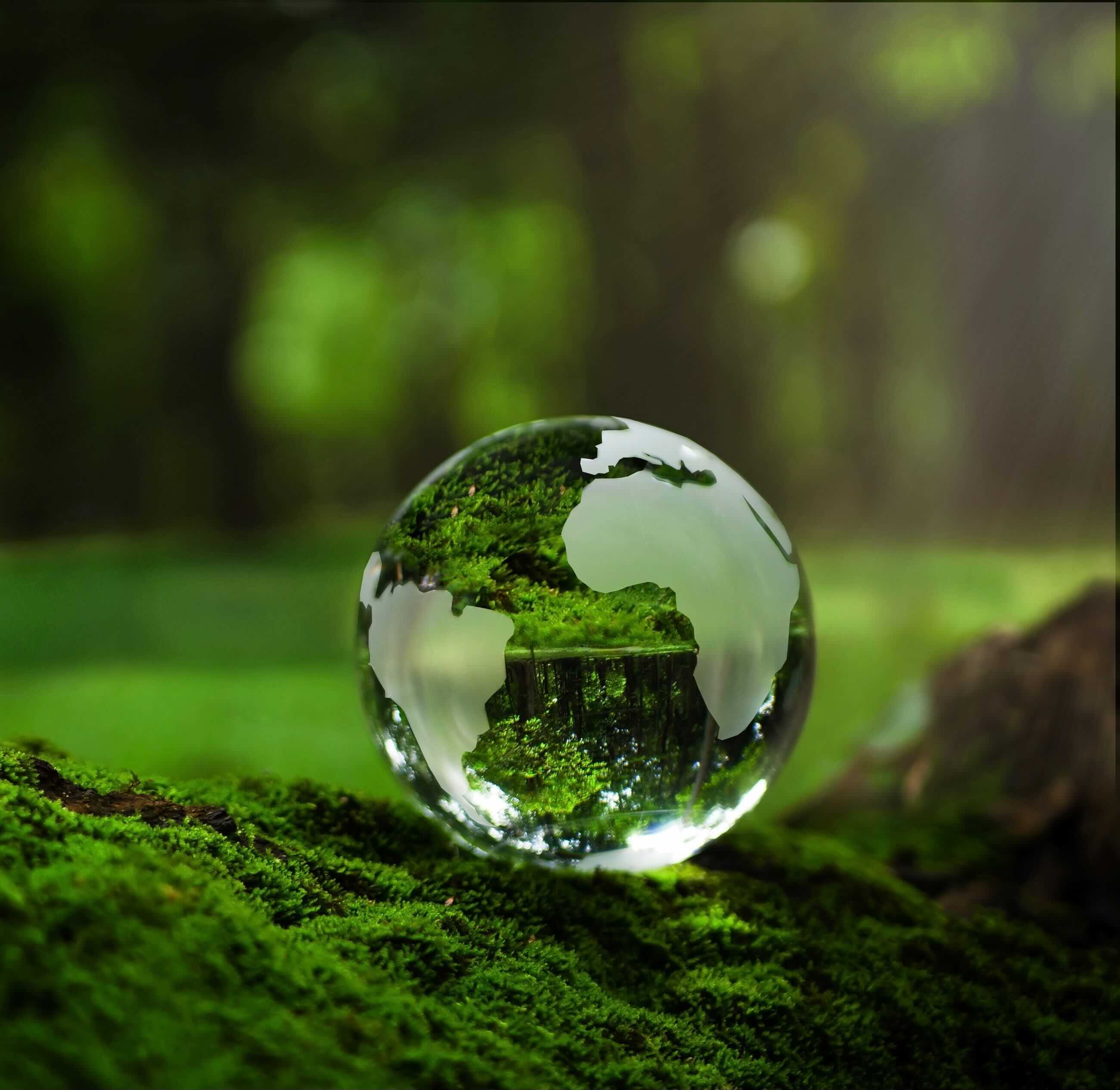 ISSB Proposes Nature-Related Disclosure Guidance, Leaving Door Open to ...