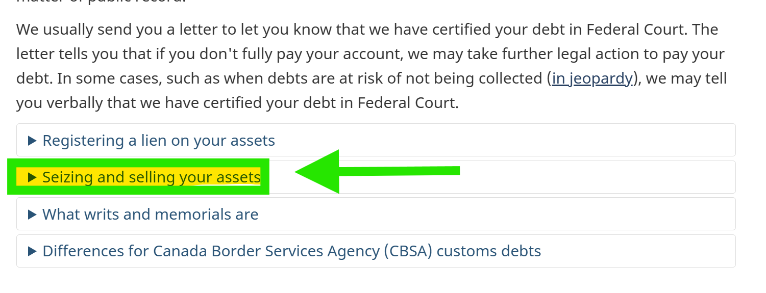 Can CRA Seize My Assets?