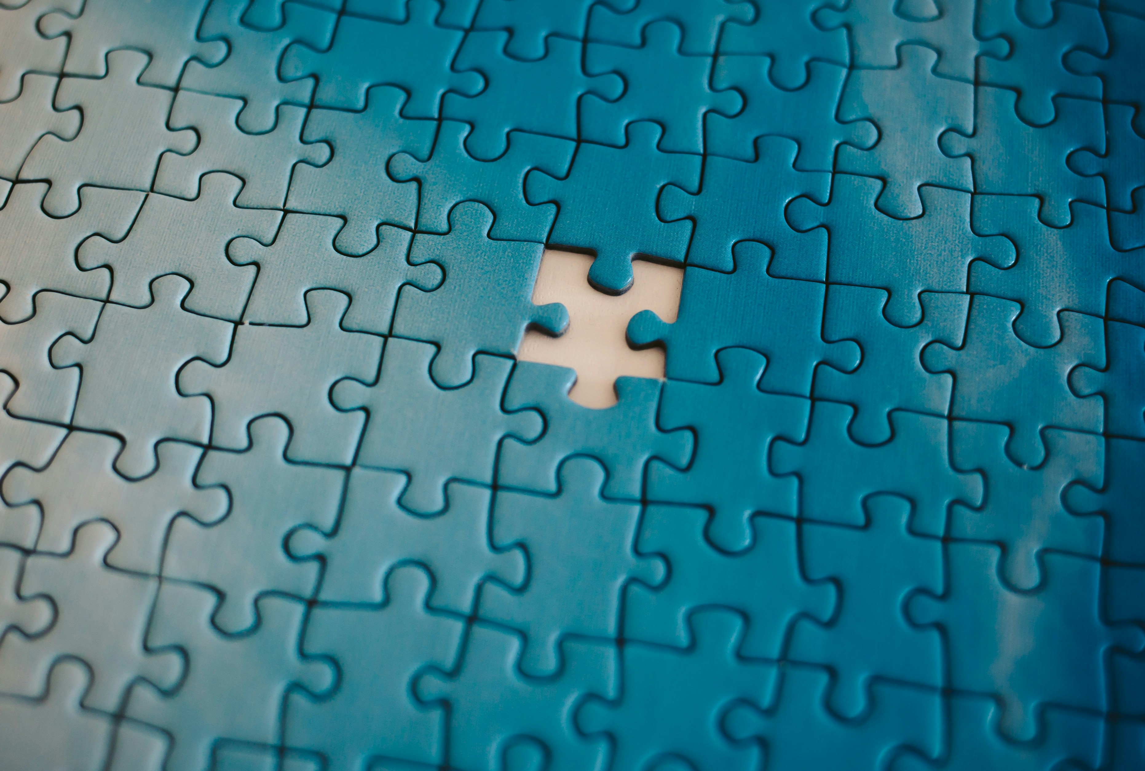 Puzzle Pieces
