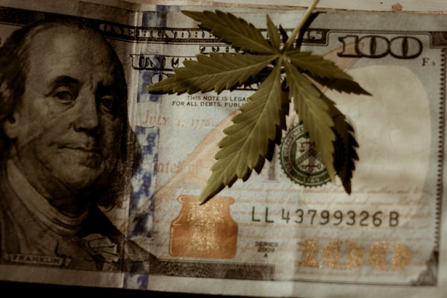 A marijuana leaf atop a hundred dollar bill.