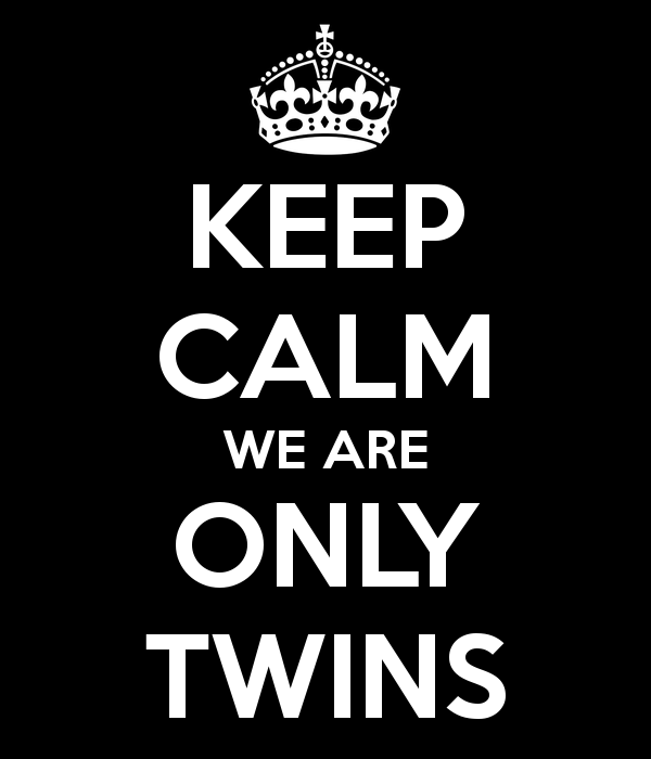 keep calm we are only twins