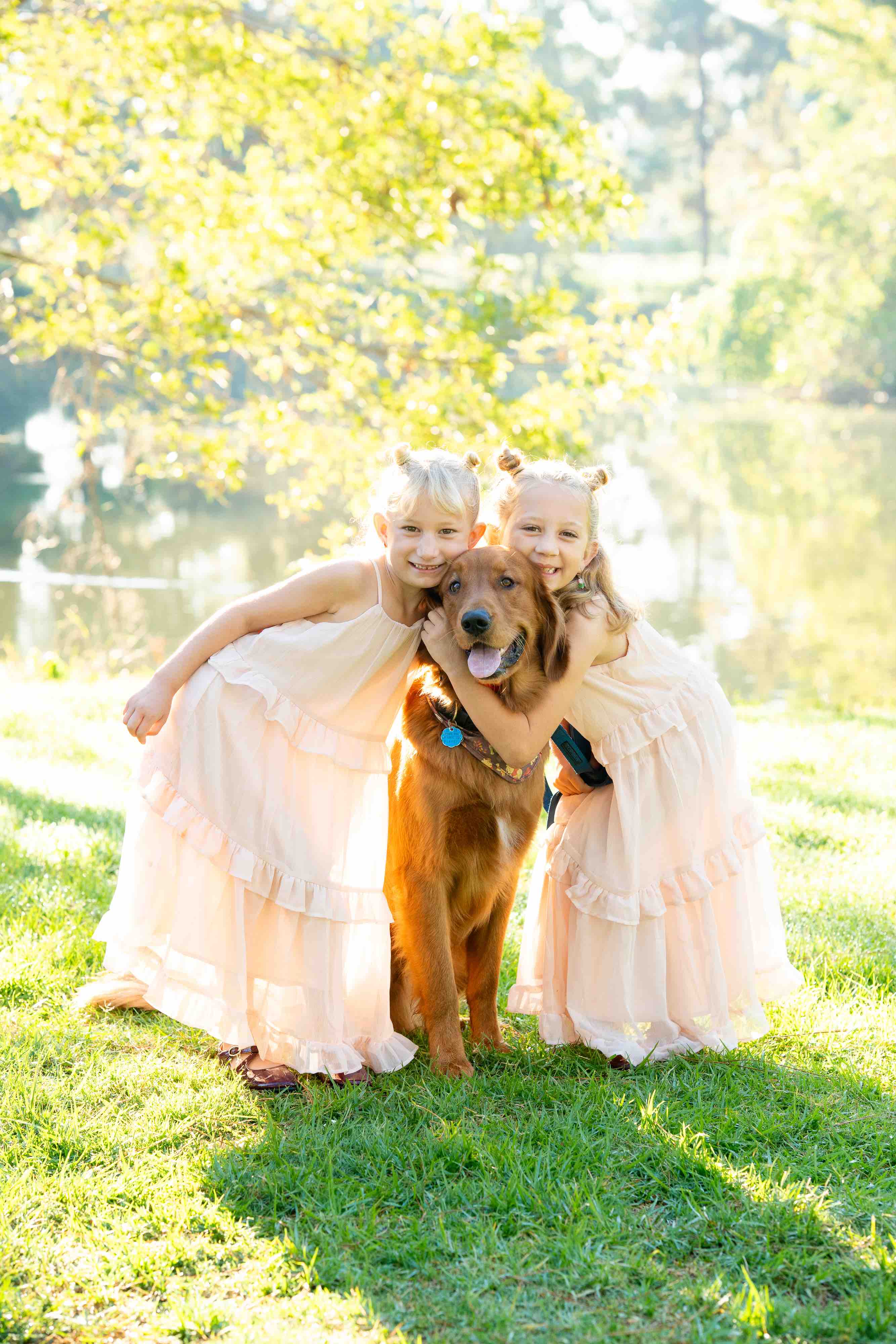 Two young girls in matching light pink dresses with their hair in small buns are happily hugging a large brown dog while standing on green grass with a sunlit tree and a pond in the background.