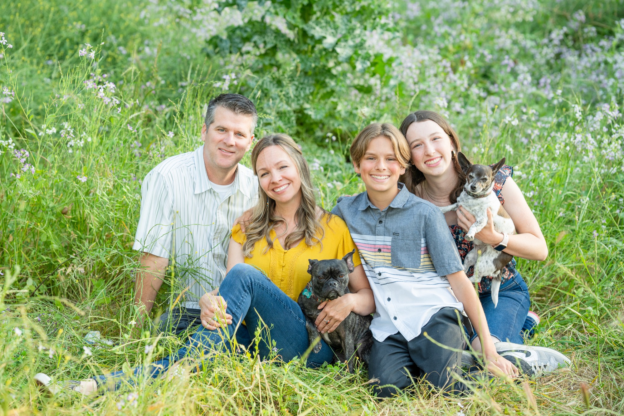 A smiling family of four sitting close together in a grassy field with small purple flowers, holding two small dogs; a man in a striped shirt, a woman in a yellow top holding a black dog, a boy in a striped button-up shirt, and a girl in a floral top holding a white and brown dog.