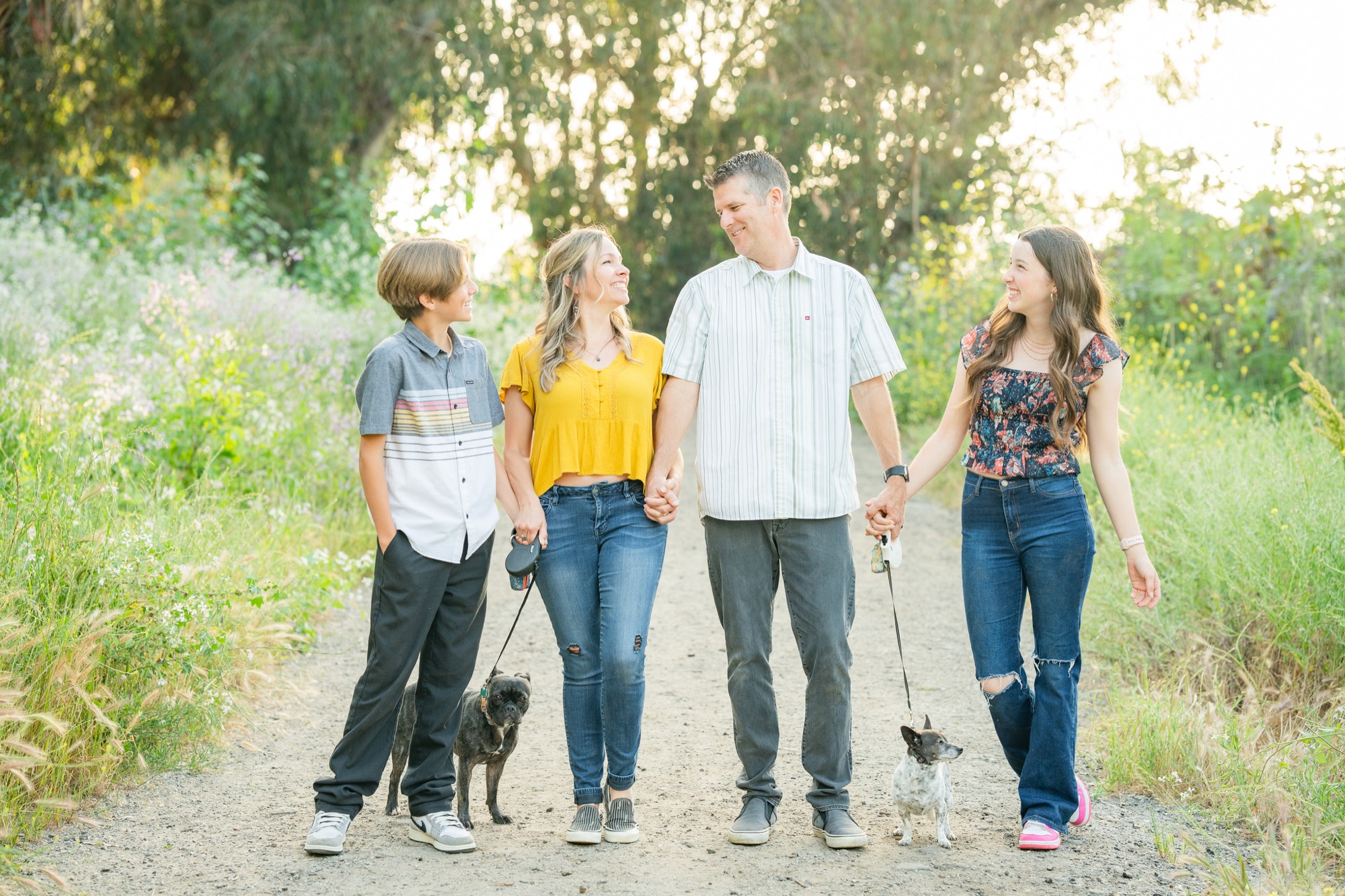 A family of four holding hands and walking on a dirt path surrounded by greenery, accompanied by two small dogs on leashes, with warm sunlight filtering through trees.