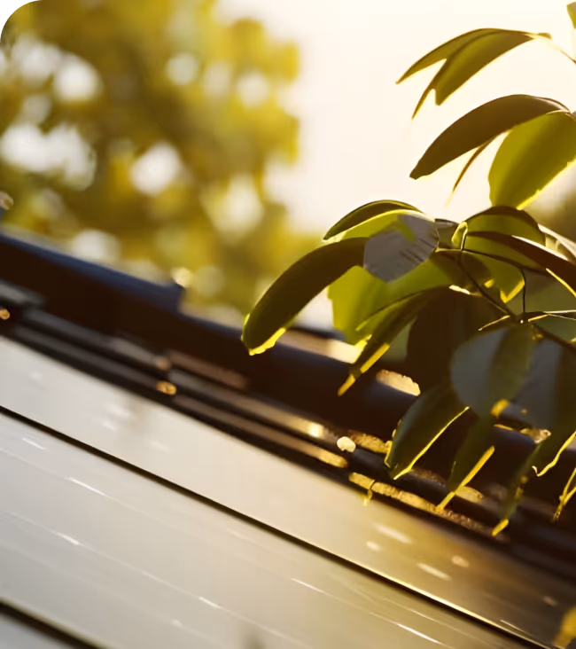 Placa solar con plantas al rededor.
