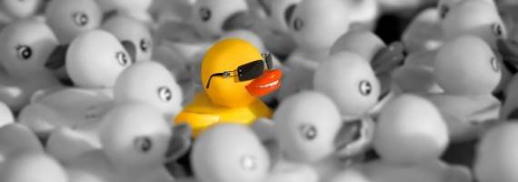 eendjes waarvan 1 opvalt