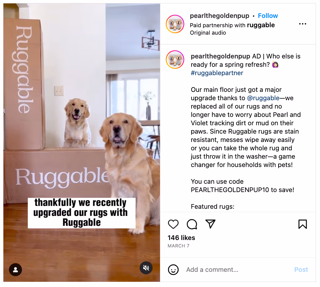 Screenshot of Instagram account - two golden retrievers promoting rug.
