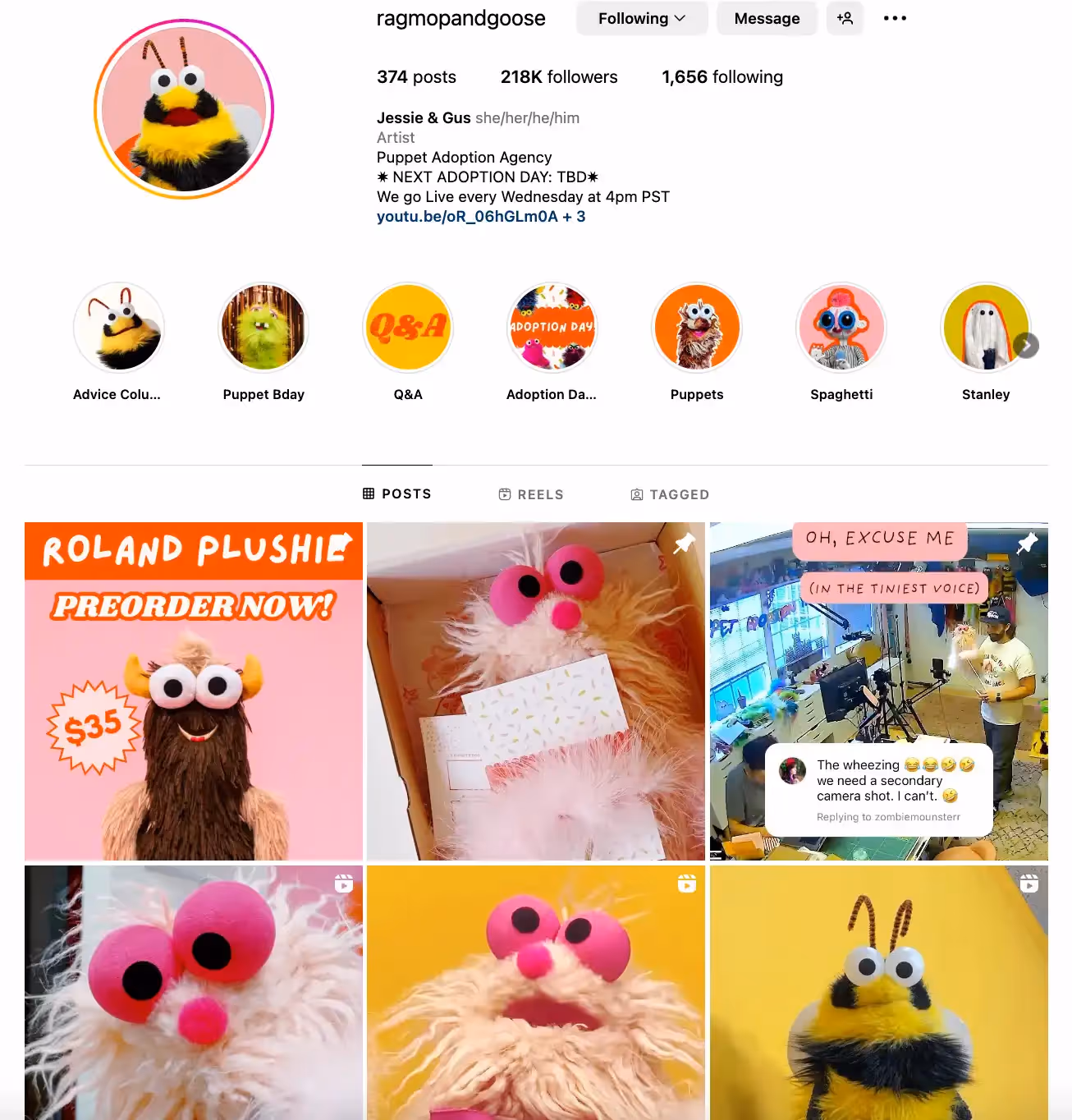 Ragmop and Goose puppet instagram profile