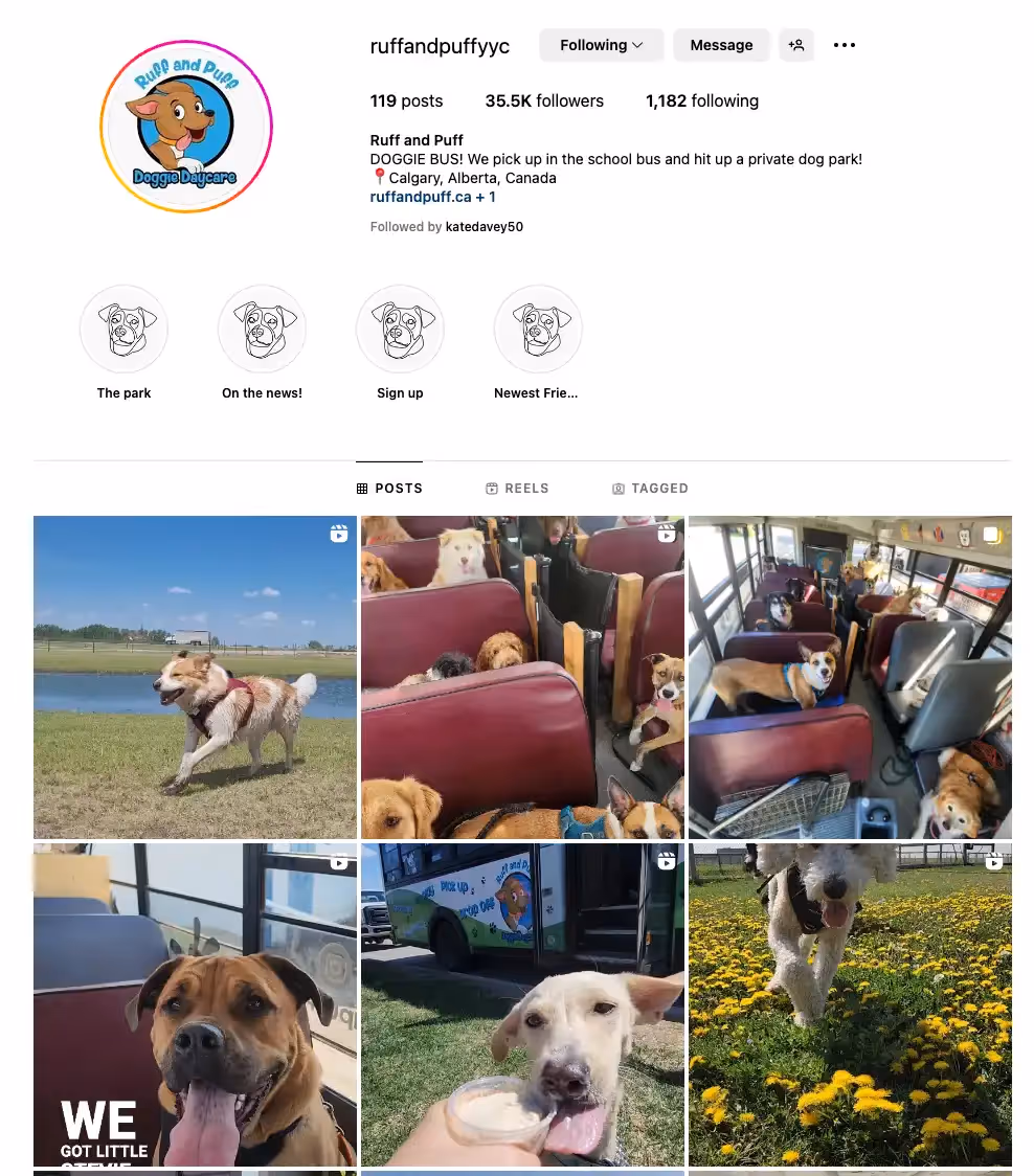 Ruff and Puff instragram page