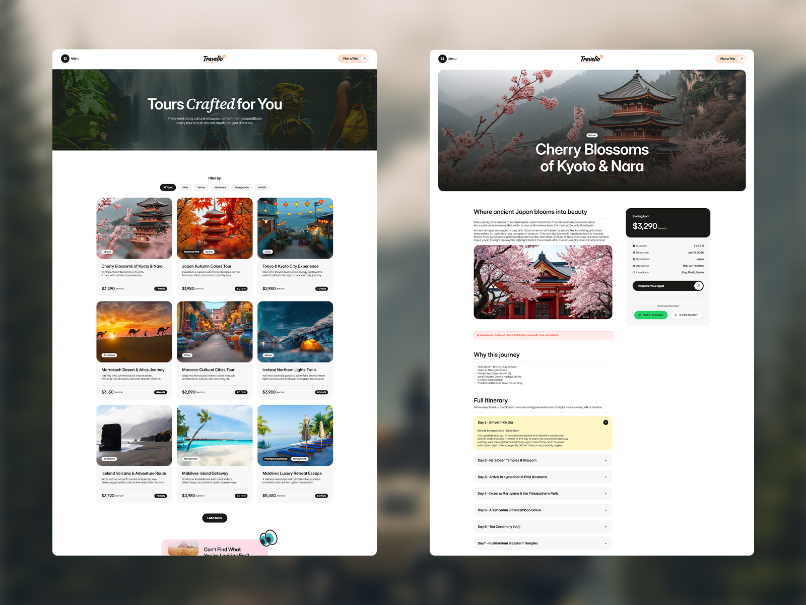 Adventure Travel Website UI