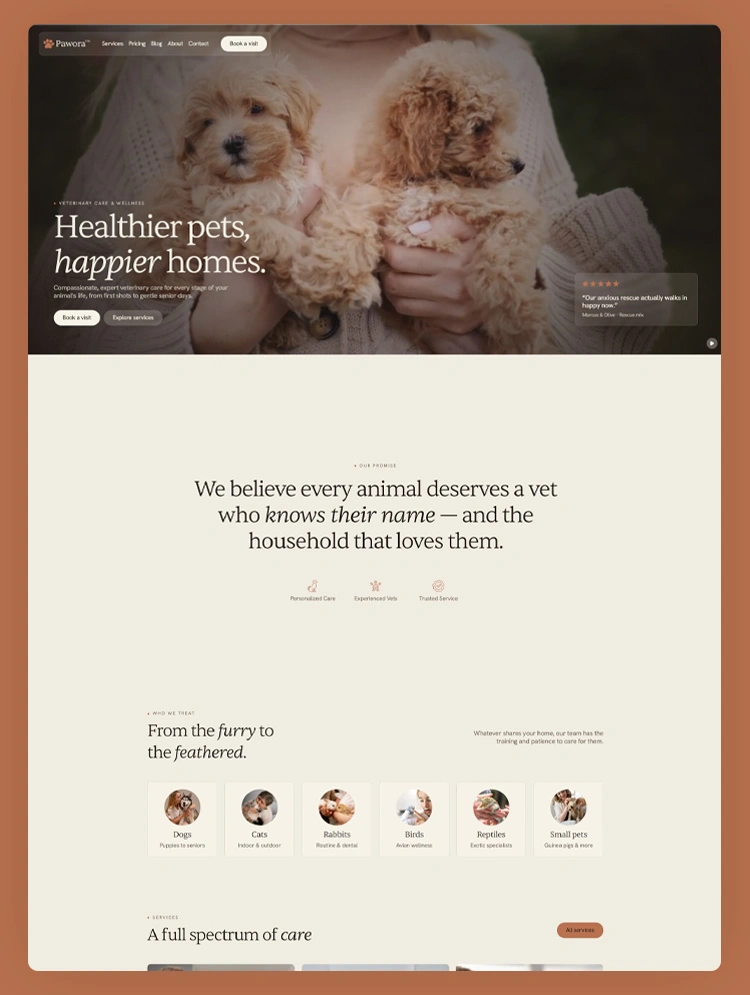 Professional vet clinic template