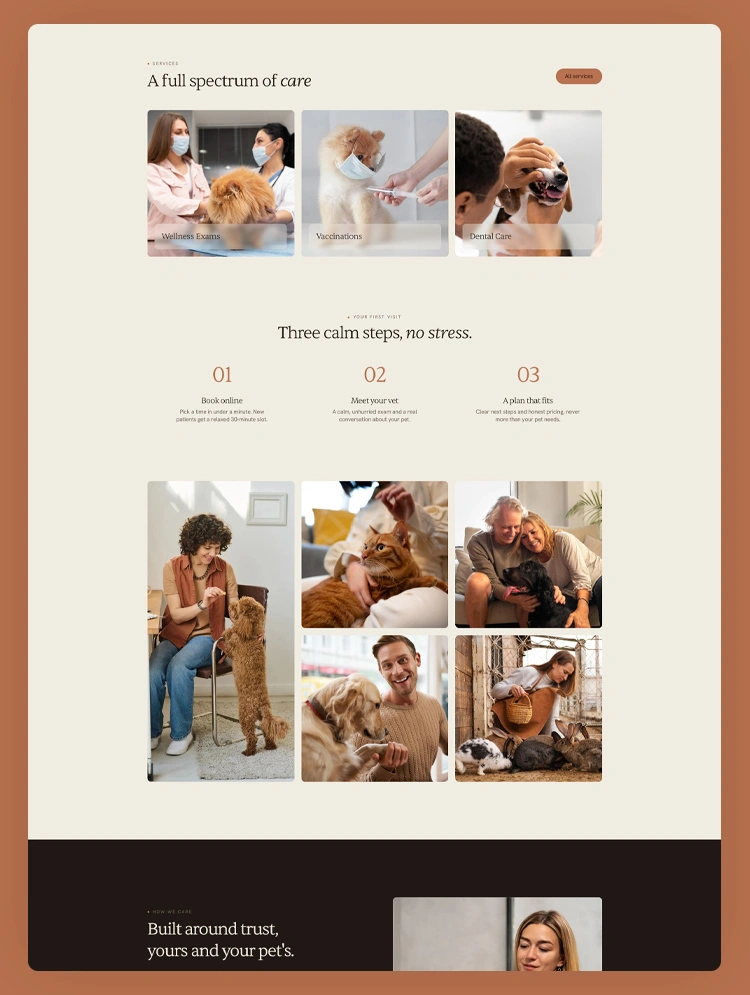 Professional vet clinic template