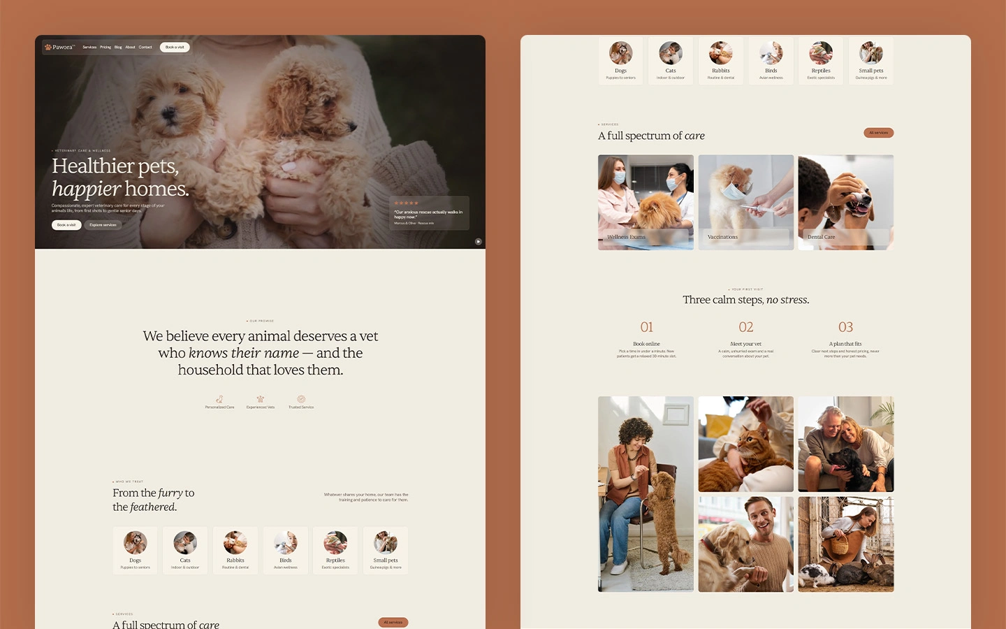 Modern veterinary template