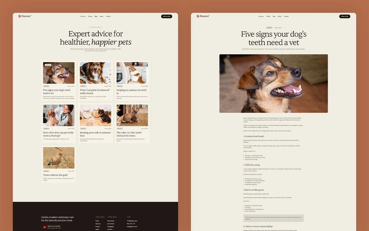 Pet doctor template website
