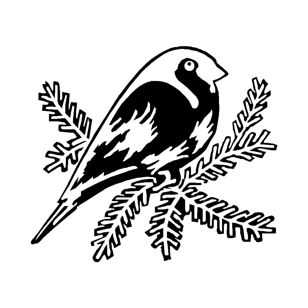 Spurv på gren | Nr. 31