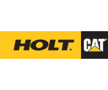Holt Cat