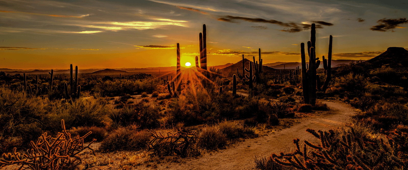 2026 Arizona Commercial GC License & ROC Compliance Guide