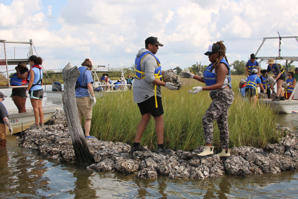 coatiltion to restore louisiana