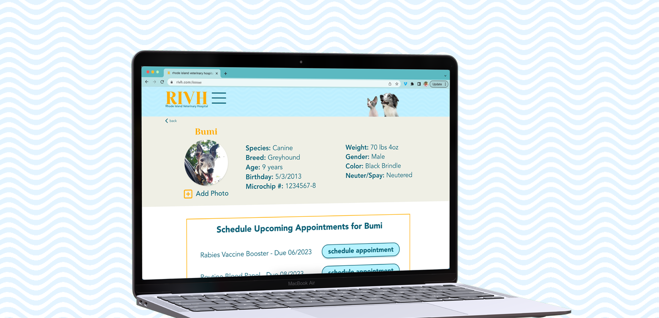 MacBookAir displaying the pet profile page of the RIVH web design on a white background with a light blue wavy pattern