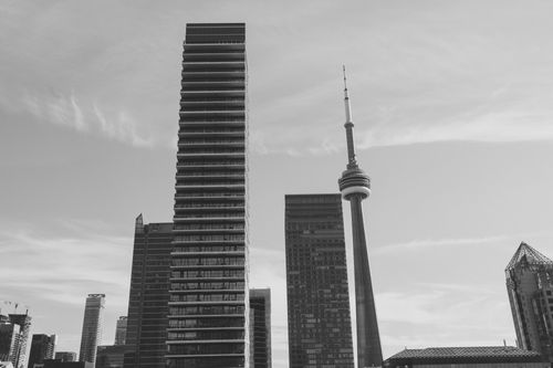 Purchase and Sale of Assets in the Metaverse