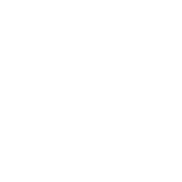 Icon of house