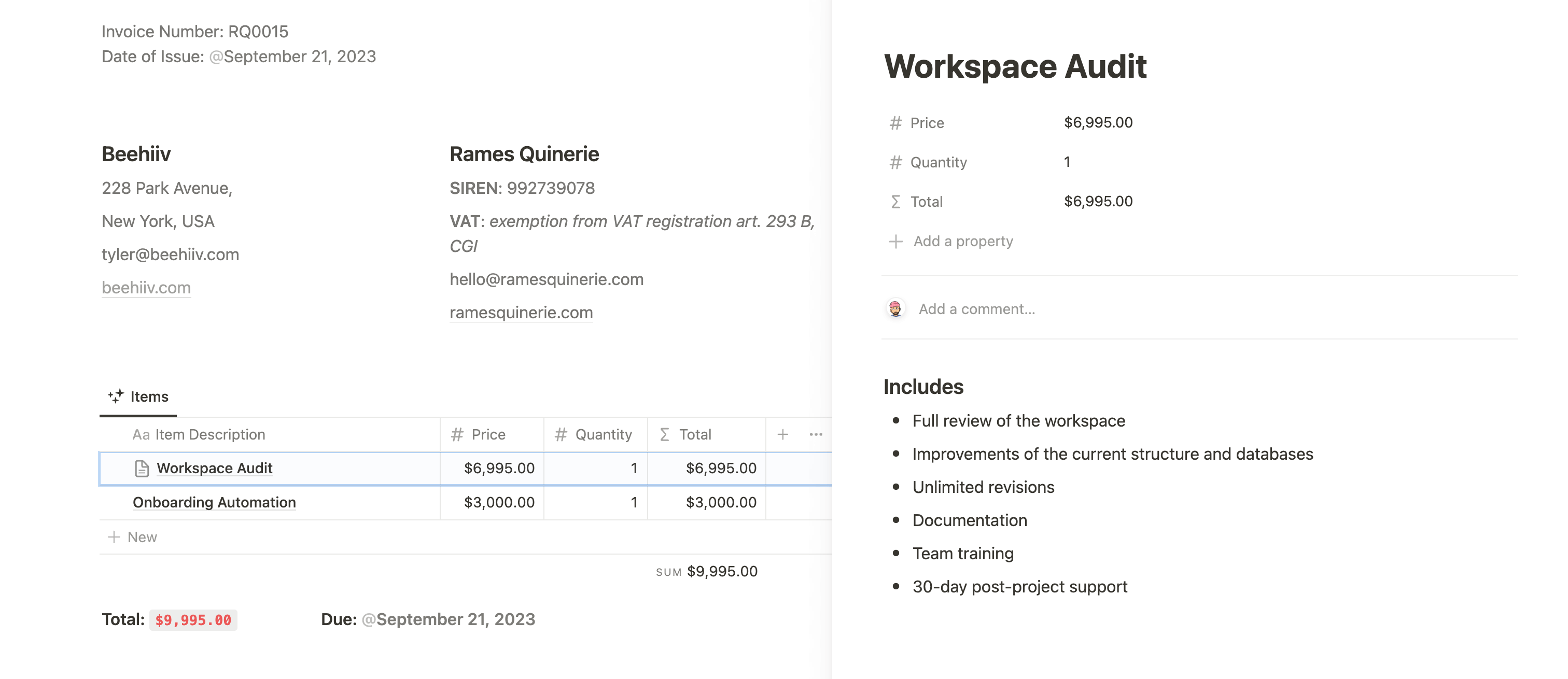 Notion invoice additional details page