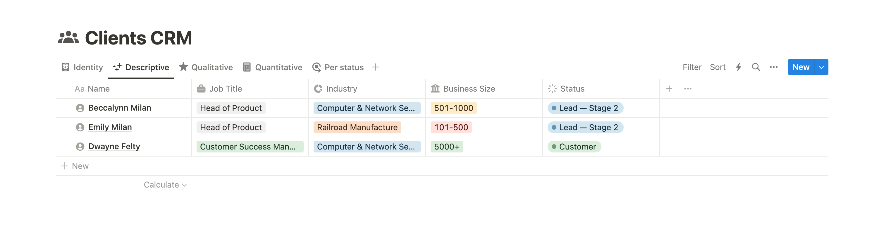 Notion CRM Descriptive data