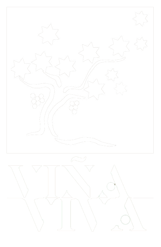 Logo viña viva