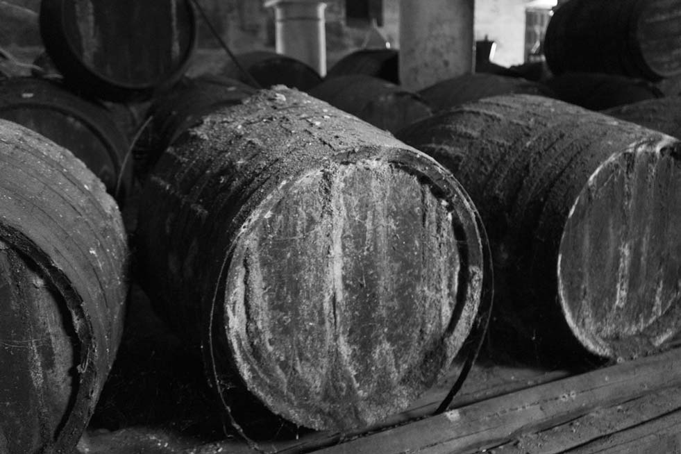 Botellas de vino y plantillas de letras en el fondo en blanco y negro