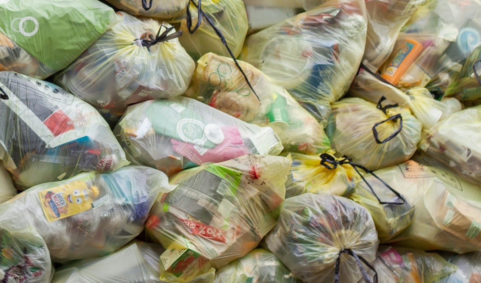 Revenue streams for CCS on Waste to Energy Plants in Norway