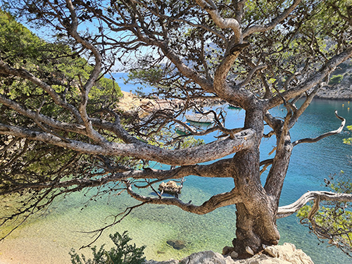 Fos-sur-Mer - Prefeasibility study of CCS on an industrial hub 