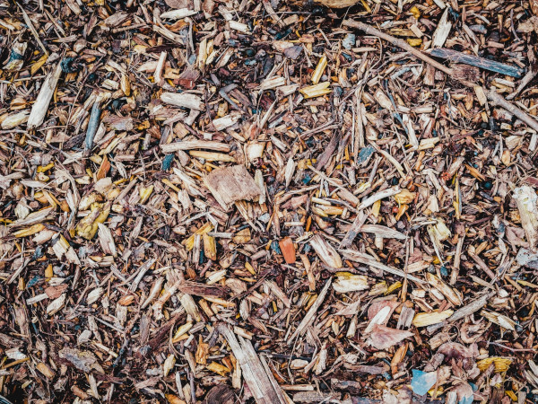 Market Perspectives of Bio-CCS Carbon Removals