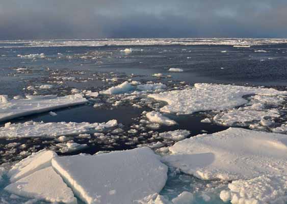 Indicators to Measure Progress on Emissions of Short Lived Climate Pollutants in the Arctic 