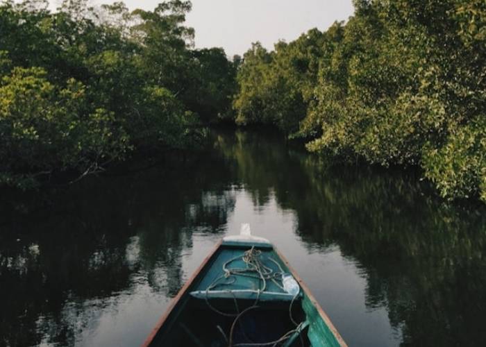 Senegal Article 6 Operational Manual 