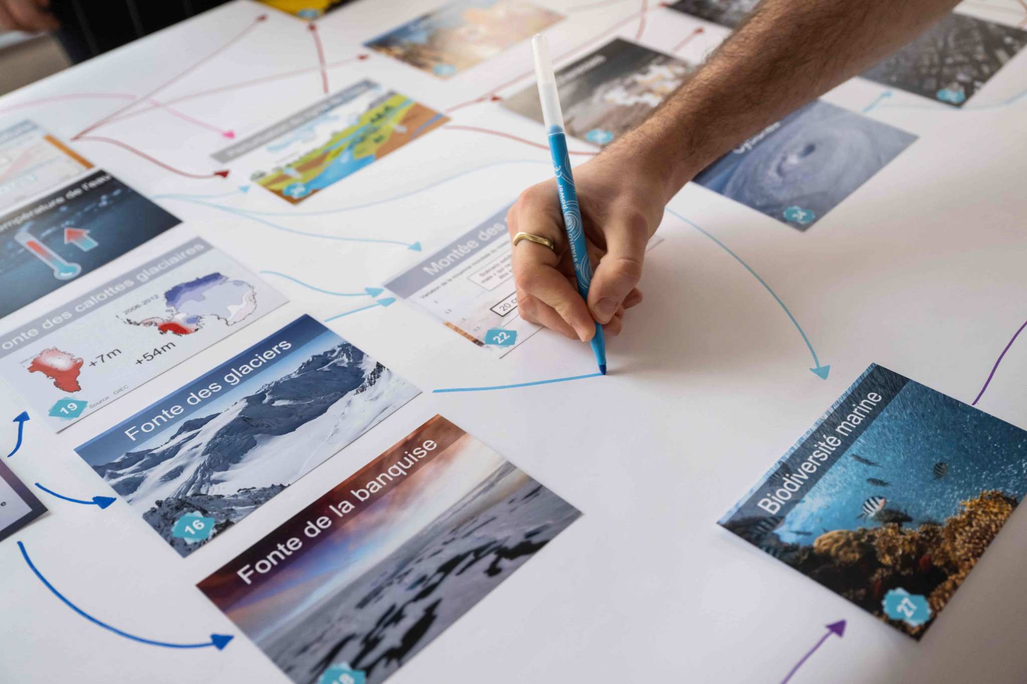 Climate Fresk Workshops - Capacity Building on Climate Change Awareness