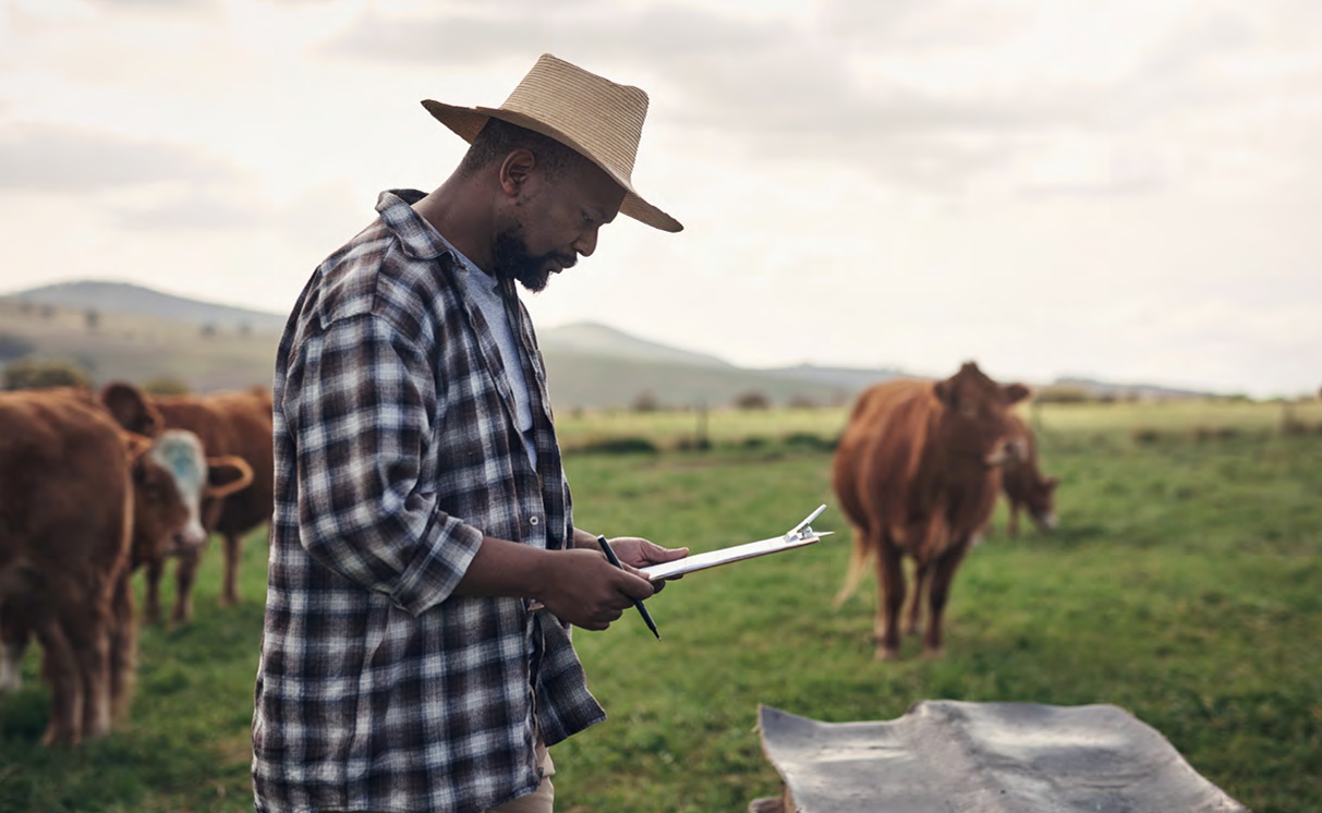 GHG Reduction MRV for Livestock: Crediting Programs and Protocols Landscape Analysis