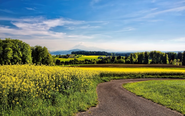 Update of the Gap Analysis Tool for the GHG emissions from Agriculture